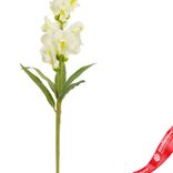 Маленькое фото 3: Антирринум искусственный (пластик), 60 см, белый