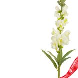 Маленькое фото 4: Антирринум искусственный (пластик), 60 см, белый