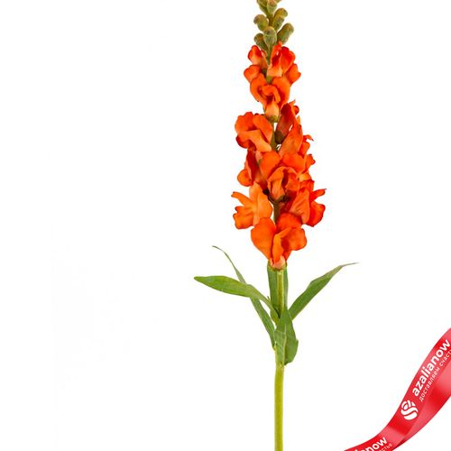 Фото 2: Антирринум искусственный (пластик), 60см, оранжевый