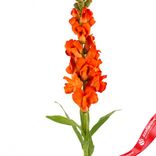 Маленькое фото 4: Антирринум искусственный (пластик), 60см, оранжевый