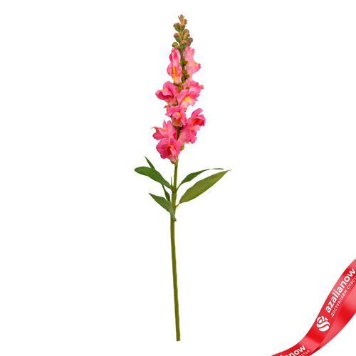 Антирринум искусственный (пластик), 60см, розовый