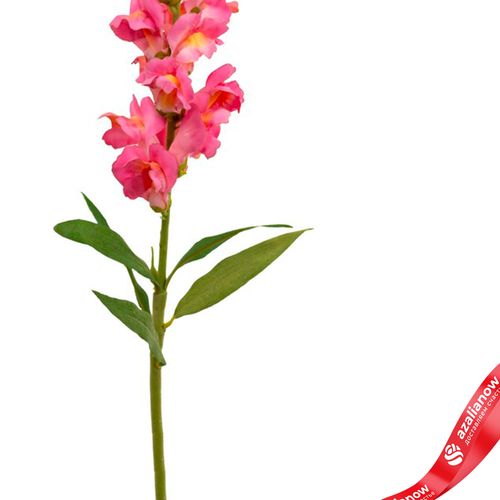 Фото 3: Антирринум искусственный (пластик), 60см, розовый