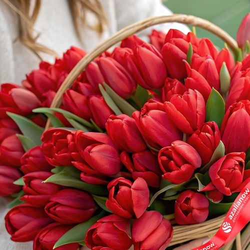 Фото 2: Букет из 47 красных тюльпанов в корзине