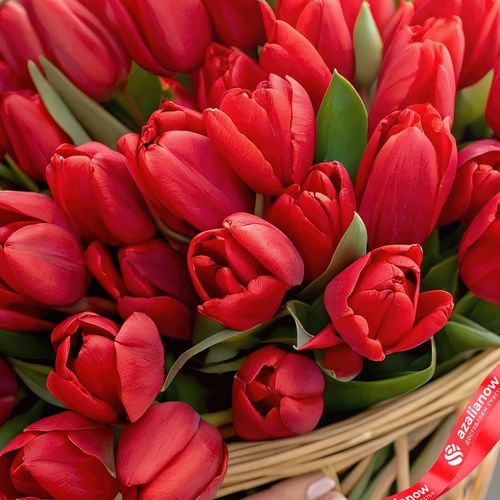 Фото 3: Букет из 47 красных тюльпанов в корзине