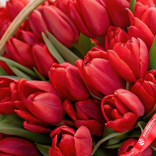 Фото 5: Букет из 47 красных тюльпанов в корзине