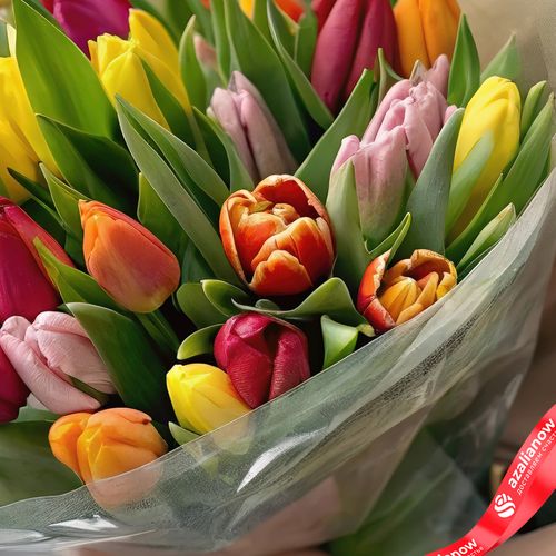 Фото 3: Букет из 35 тюльпанов микс в прозрачной пленке