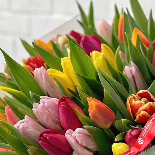 Фото 4: Букет из 35 тюльпанов микс в прозрачной пленке