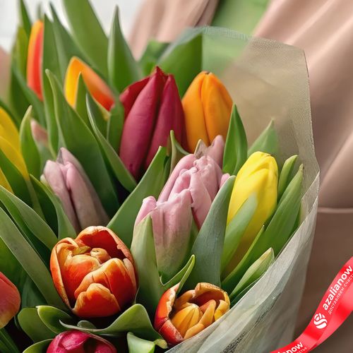 Фото 5: Букет из 35 тюльпанов микс в прозрачной пленке