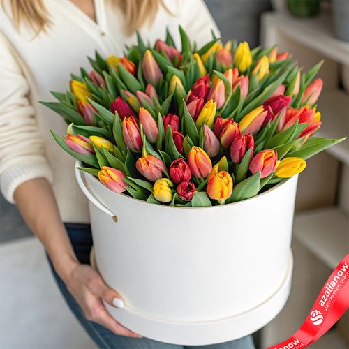 Букет из 47 красно-желтых тюльпанов в белой коробке