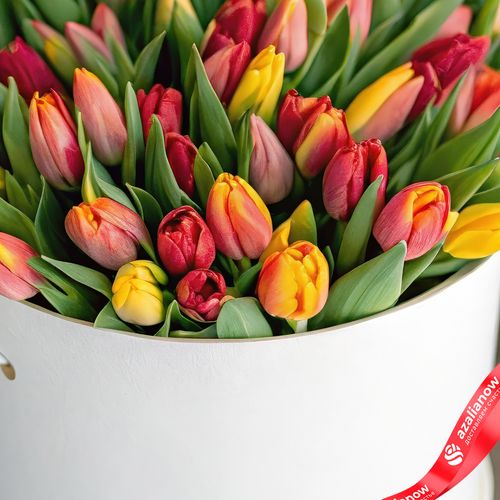 Фото 3: Букет из 47 красно-желтых тюльпанов в белой коробке