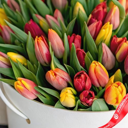 Фото 5: Букет из 47 красно-желтых тюльпанов в белой коробке