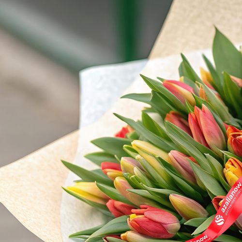 Фото 4: Букет из 35 красно-желтых тюльпанов в бумаге