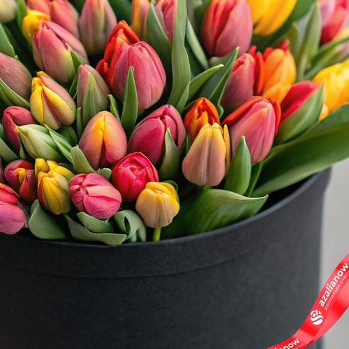 Фото 3: Букет из 47 красно-желтых тюльпанов в черной коробке