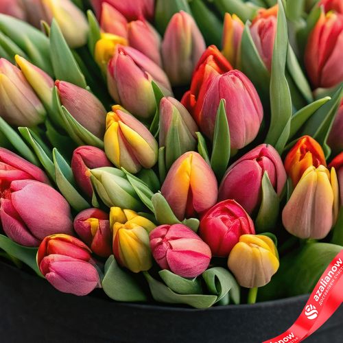 Фото 5: Букет из 47 красно-желтых тюльпанов в черной коробке