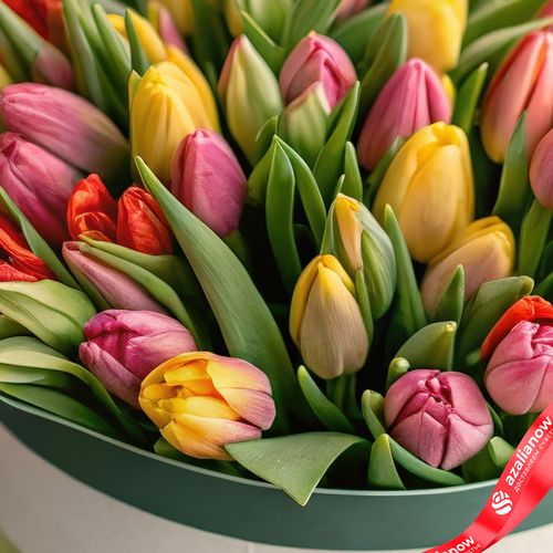 Фото 5: Букет из 47 красно-желтых тюльпанов в зеленой коробке с лентой