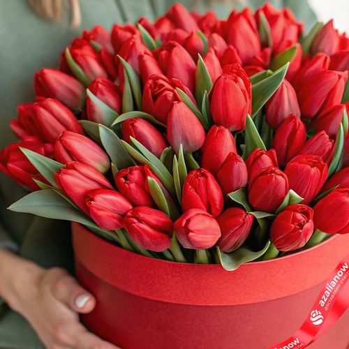 Фото 2: Букет из 47 красных тюльпанов в красной коробке
