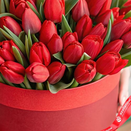 Фото 3: Букет из 47 красных тюльпанов в красной коробке