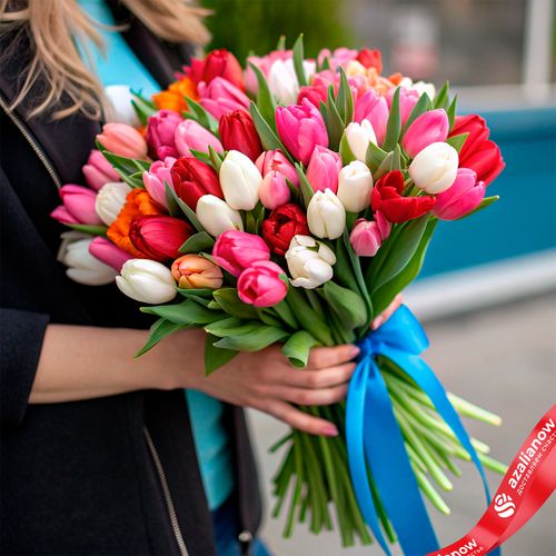 Букет из 47 тюльпанов микс с голубой лентой