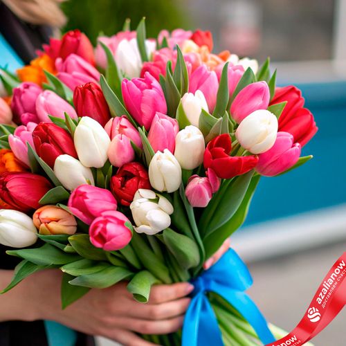 Фото 3: Букет из 47 тюльпанов микс с голубой лентой