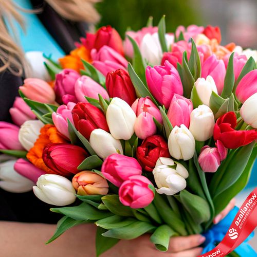 Фото 4: Букет из 47 тюльпанов микс с голубой лентой