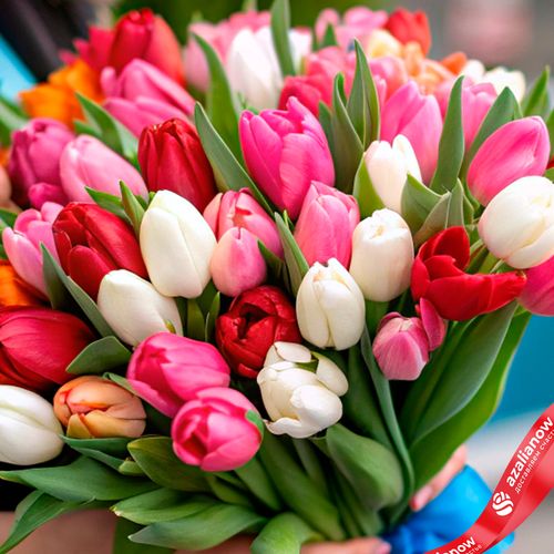 Фото 5: Букет из 47 тюльпанов микс с голубой лентой