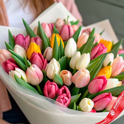 Фото 4: Букет из 47 тюльпанов микс в белой бумаге с розовой лентой