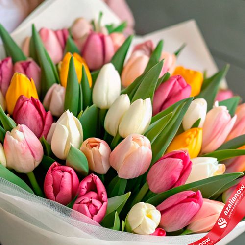 Фото 5: Букет из 47 тюльпанов микс в белой бумаге с розовой лентой