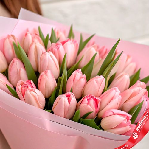 Фото 5: Букет из 25 розовых тюльпанов в розовой бумаге с лентой