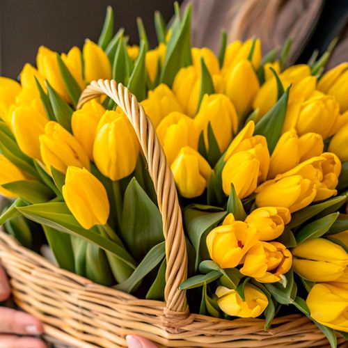 Фото 4: Букет из 47 желтых тюльпанов в корзине