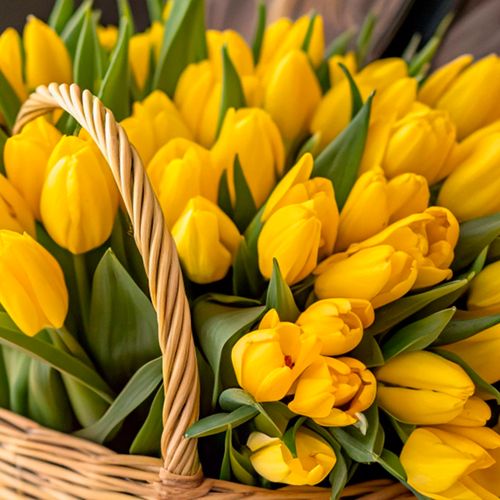 Фото 5: Букет из 47 желтых тюльпанов в корзине
