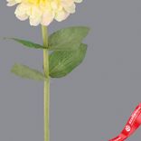 Маленькое фото 3: Цинния искусственная (пластик), 68см, белый