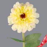 Маленькое фото 5: Цинния искусственная (пластик), 68см, белый