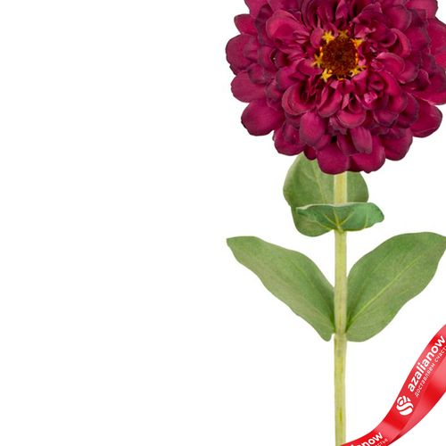 Фото 4: Цинния искусственная (пластик), 68см, темно-розовый