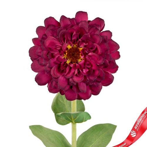 Фото 5: Цинния искусственная (пластик), 68см, темно-розовый