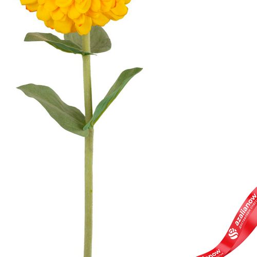 Фото 3: Цинния искусственная (пластик), 68см, желтый