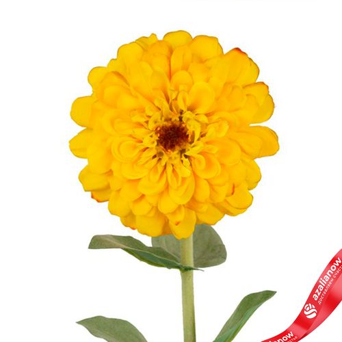 Фото 5: Цинния искусственная (пластик), 68см, желтый