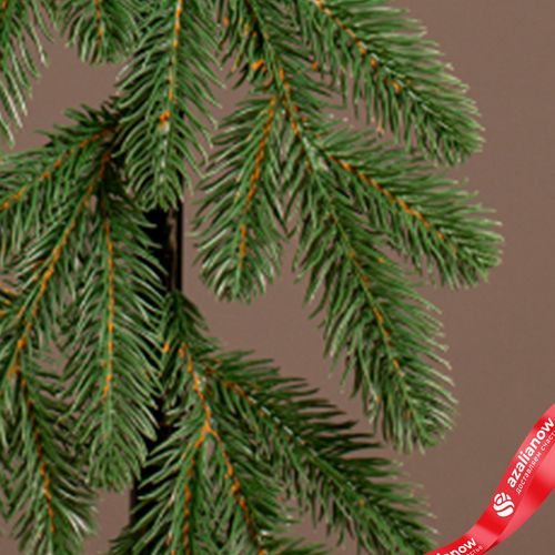 Фото 5: Гирлянда рождественская «Купеческая» (PE), 200х25см, зеленый