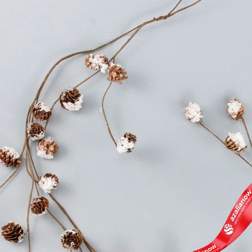 Фото 4: Гирлянда с шишками заснеженная, 130см, коричневый