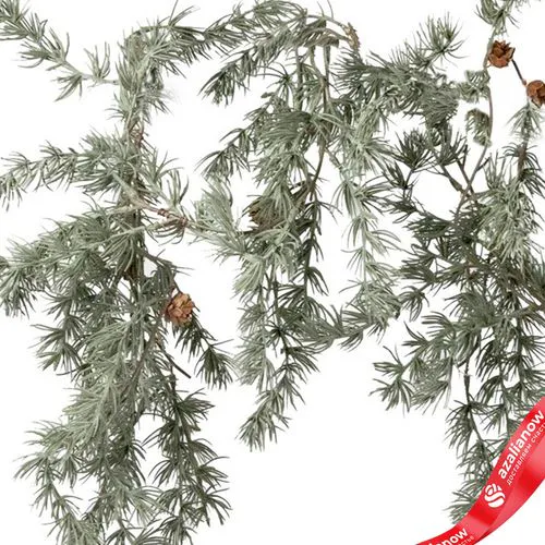 Фото 4: Гирлянда сосновая, 120см, зеленый