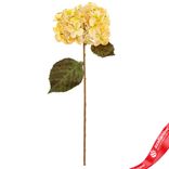 Маленькое фото 1: Гортензия искусственная (пластик), 54см, кремовый