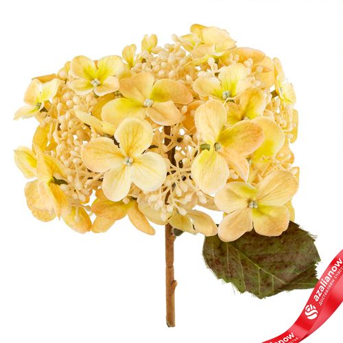 Фото 5: Гортензия искусственная (пластик), 54см, кремовый