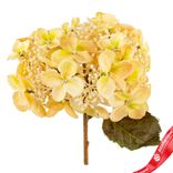 Маленькое фото 5: Гортензия искусственная (пластик), 54см, кремовый