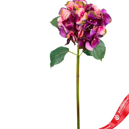 Фото 2: Гортензия искусственная (пластик), 72см, темно-розовый