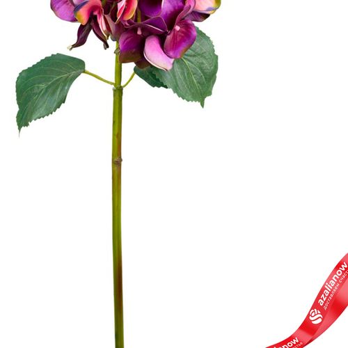 Фото 3: Гортензия искусственная (пластик), 72см, темно-розовый