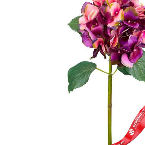 Фото 4: Гортензия искусственная (пластик), 72см, темно-розовый