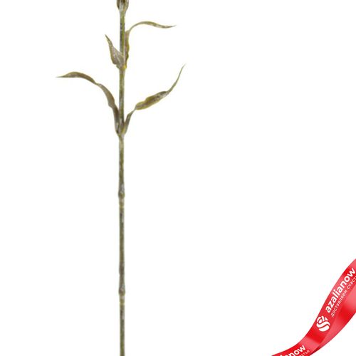 Фото 3: Гвоздика садовая искусственная (пластик), 55см, розовый