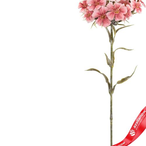 Фото 4: Гвоздика садовая искусственная (пластик), 55см, розовый