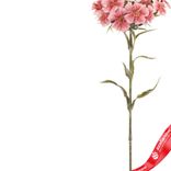 Маленькое фото 4: Гвоздика садовая искусственная (пластик), 55см, розовый