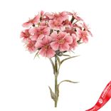 Маленькое фото 5: Гвоздика садовая искусственная (пластик), 55см, розовый