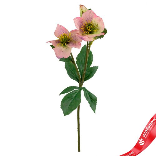 Хелеборус искусственный (пластик), 40см, светло-розовый